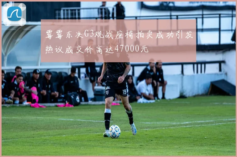 霉霉东决G3观战座椅拍卖成功引发热议成交价高达47000元