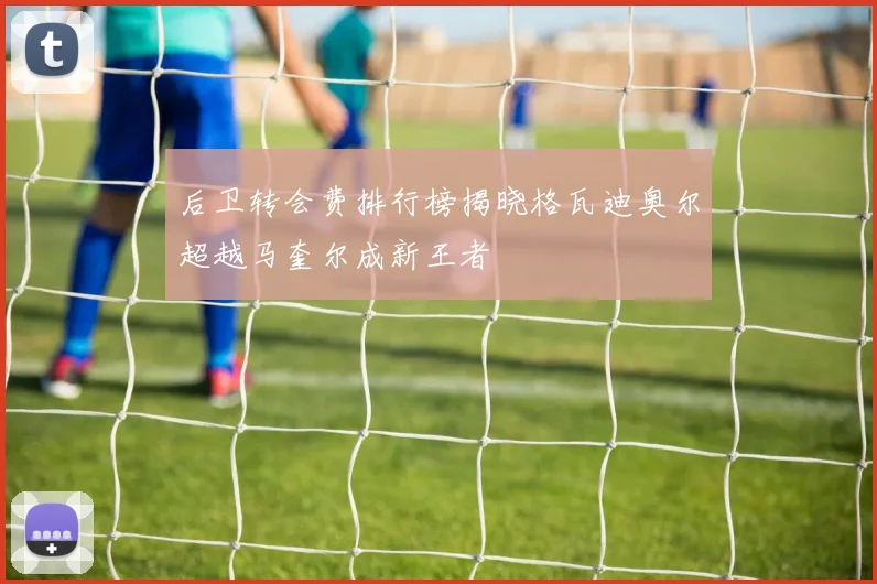 后卫转会费排行榜揭晓格瓦迪奥尔超越马奎尔成新王者