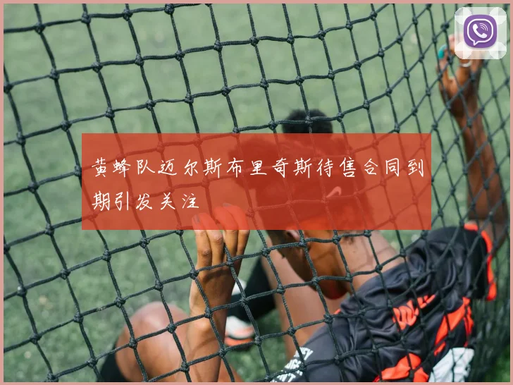 黄蜂队迈尔斯布里奇斯待售合同到期引发关注